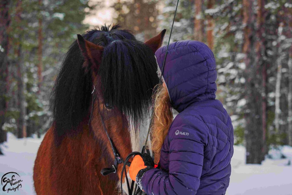 Ajatteleeko hevonen?