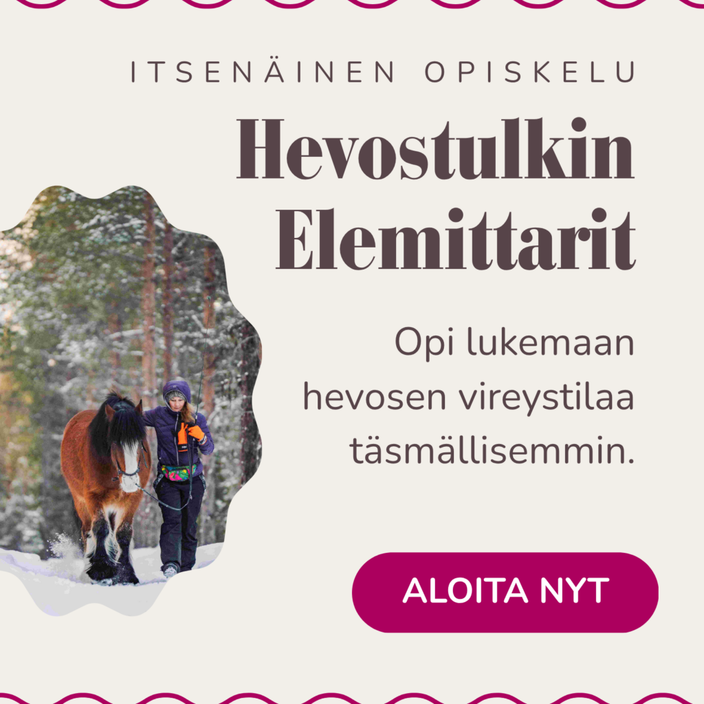 Hevostulkin elemittarit -verkkokurssin tuotekortti. Kuvassa nainen kävelee punaruunikon hevosen kanssa samaan tahtiin kohti kameraa lumisessa metsässä. Nainen katsoo hevosta. Hevonen kävelee rennosti pää alhaalla. Kuva on linkki verkkokurssin myyntisivulle.