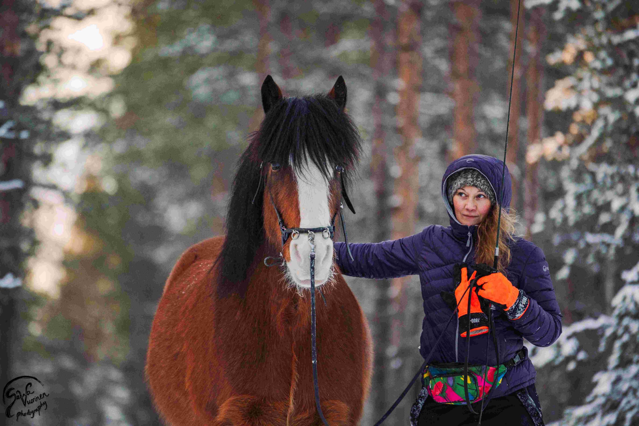 Elemittarit-verkkokurssin kuvituskuva. Kuvassa nainen ja punaruunikko hevonen lumisessa havumetsässä. Puolikuva. Nainen katsoo tarkkaavaisesti hevosen kasvoja. Naisen käsi on hevosen säällä. Hevonen katsoo eteenpäin.