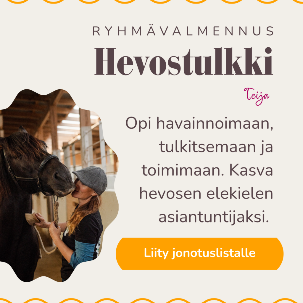 Hevostulkki-ryhmävalmennuksen tuotekortti. Liity jonotuslistalle. Lähikuvassa nainen ja musta hevonen. Kumpikin kohti kameraa tai kohti toisiaan. Hevonen höplää ylähuulellaan ihmisen nenää. Nainen harjaa hevosta pään alta kaulasta. Kuva on linkki verkkokurssin myyntisivulle.