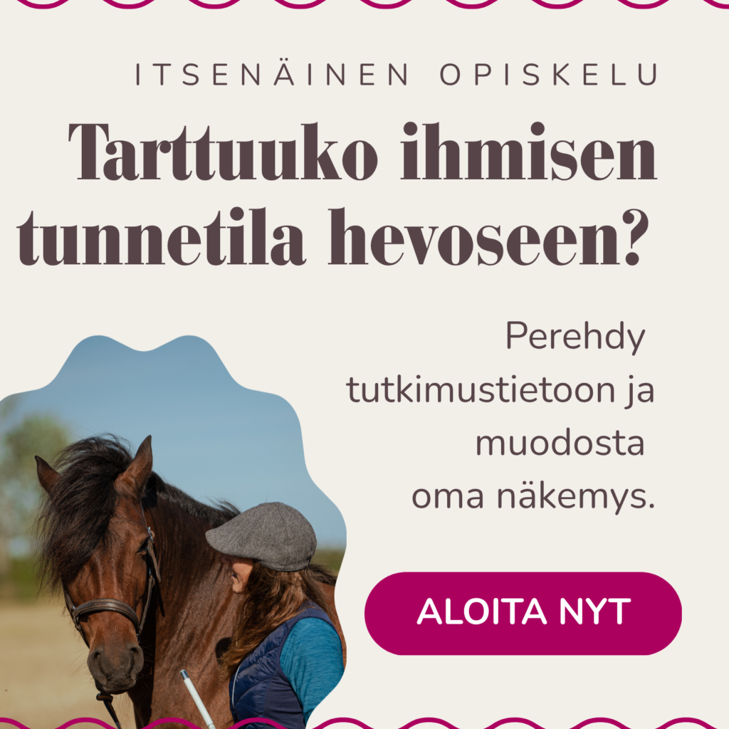 Tarttuuko ihmisen tunnetila hevoseen -verkkokurssin tuotekortti. Itsenäisesti opiskeltava kurssi. Kuvassa nainen lätsä päässään ruunikon hevosen kanssa lähikuvassa. Hevonen katsoo kameraan, nainen poispäin kamerasta ja katsoo hevosta hymyillen. Kortti toimii linkkinä verkkokurssin myyntisivulle.